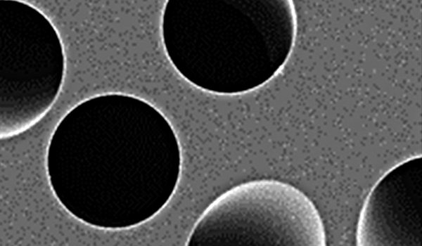 Filtro de membrana PCTE policarbonato